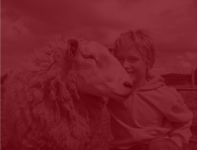 Information om sagnlandet lejre